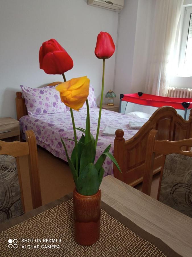 Apartman Andelina Vrnjačka Banja Eksteriør bilde