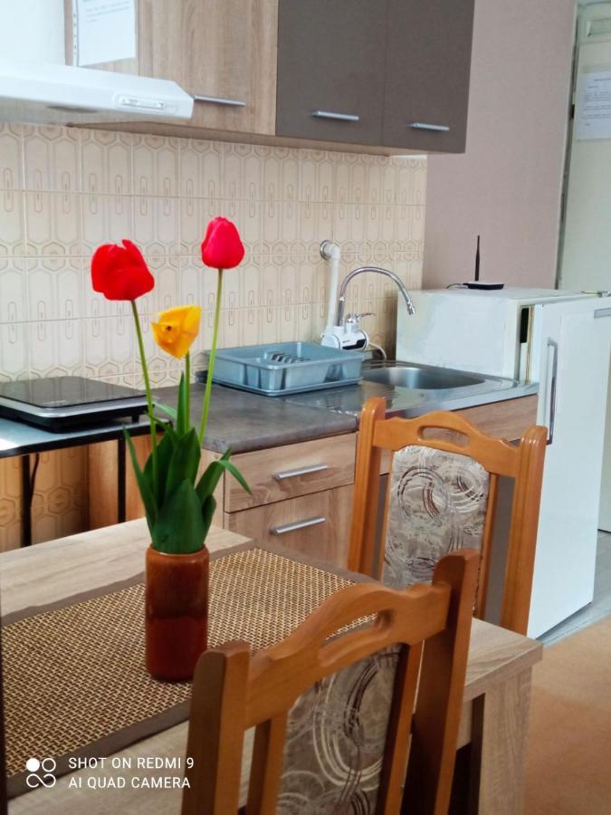 Apartman Andelina Vrnjačka Banja Eksteriør bilde