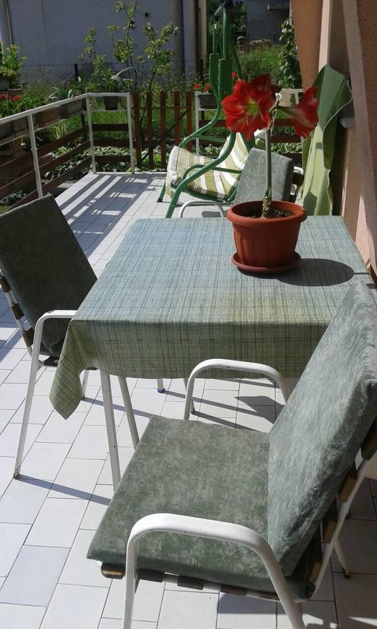 Apartman Andelina Vrnjačka Banja Eksteriør bilde